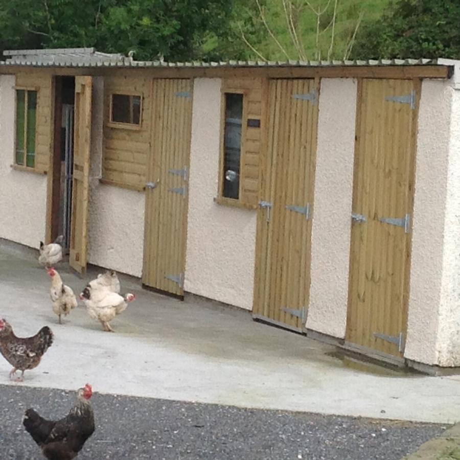 Villa The Little Cow Shed Swansea Esterno foto