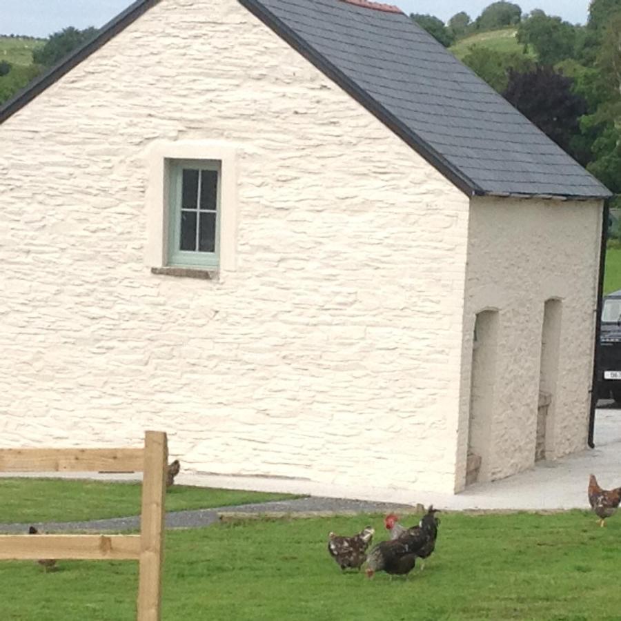 Villa The Little Cow Shed Swansea Esterno foto