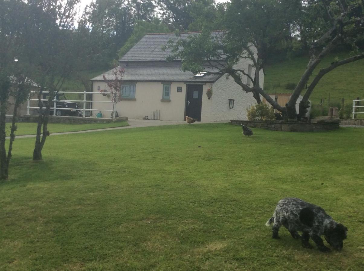 Villa The Little Cow Shed Swansea Esterno foto