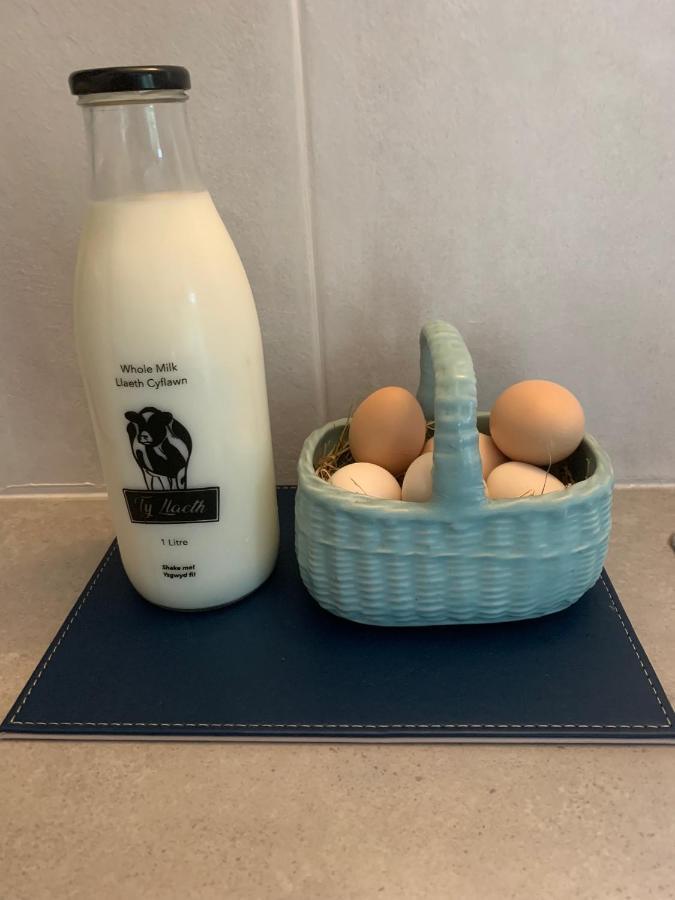 Villa The Little Cow Shed Swansea Esterno foto